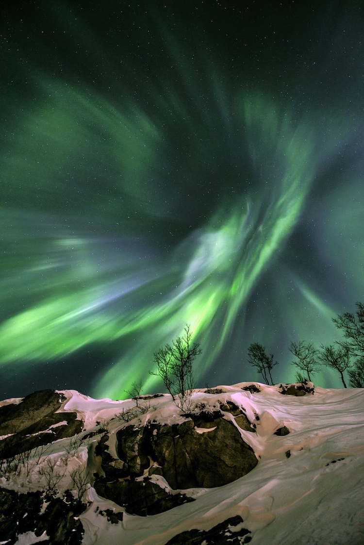Wyróżnienie w kategorii "Earth and Space"
"Green Energy", fot. Fredrik Broms (Norwegia)


Zorze polarne mogą przybierać różne kształty, formowane przez pola magnetyczne Ziemi. Tutaj, strumienie świecącego gazu wydają się być skręcone w gigantyczny wir nad Grøtfjord w Norwegii. 

Sprzęt: Nikon D800 z obiektywem Nikkor 14–24 mm f/2,8 ustawionym na 14 mm, ISO 800, 4 s